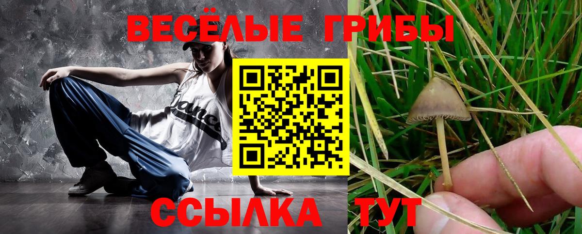 Советский  Псилоцибиновые грибы Magic Shrooms  Псилоцибиновые грибы Cubensis  Вход с VPN 